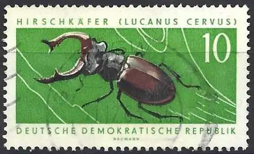 Deutschland DDR 1963 - Mi 978 - YT 681 - Insekt : Käfer-Hirschkäfer