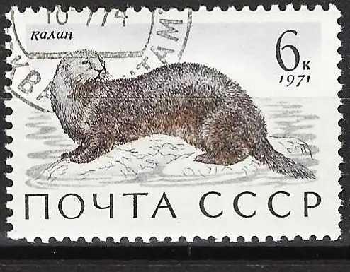 Russland 1971 - Mi 3914 - YT 3748 - Fauna : Seeotter