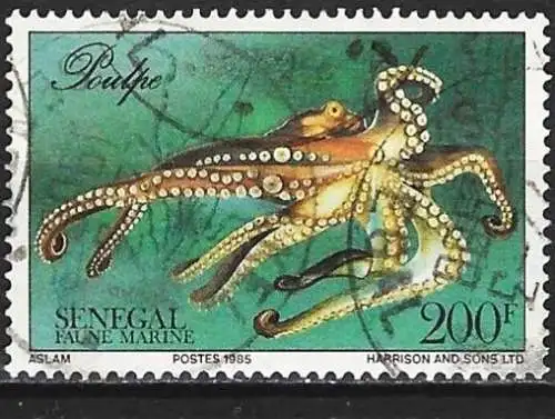 Senegal 1987 - Mi 904 - YT 6892 - Meeresfauna: Tintenfisch