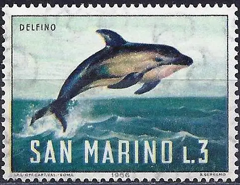 San Marino 1966 - Mi 871 - YT 678 - Meeressäugetier : Delfin - MNH**