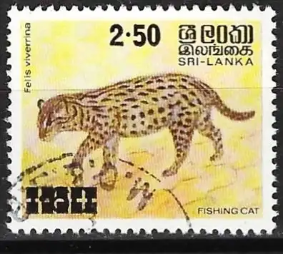 Sri Lanka 1981 - Mi 542 - YT 559 - Fauna : Der Fischerkatze