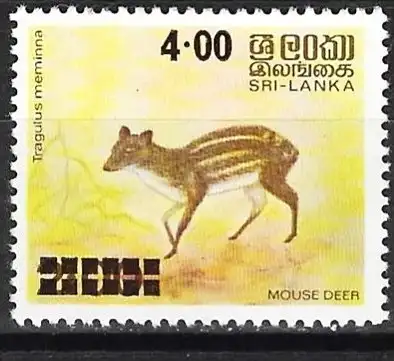 Sri Lanka 1981 - Mi 544 - YT 561 - Fauna : Indischer Muntjak  - MNG