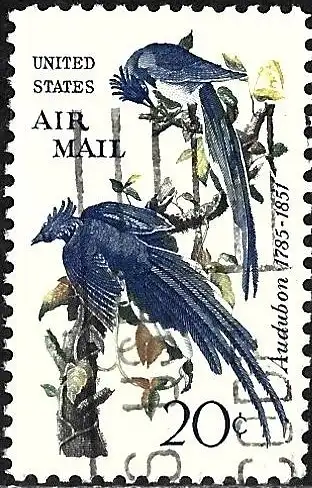 USA 1967 - Mi 920 - YT Pa 67 - Vogel : Elsterhäher ( Flugpost )