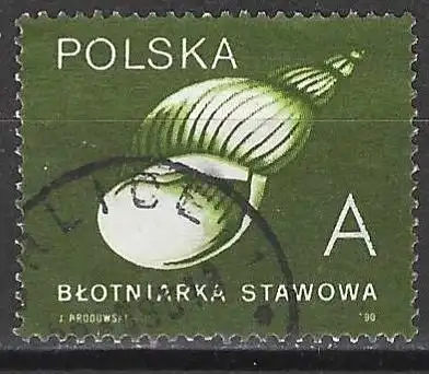 Polen 1990 - Mi 3274 C - YT 3079a - Muschel 