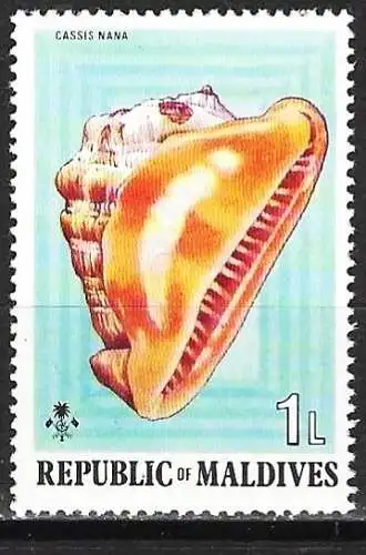 Malediven 1974 - Mi 551 - YT 511 - Muschel  - MNH**