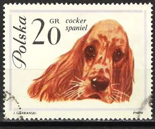 Polen 1963 - Mi 1374 - YT 1232 - Hund : Cocker Spaniel