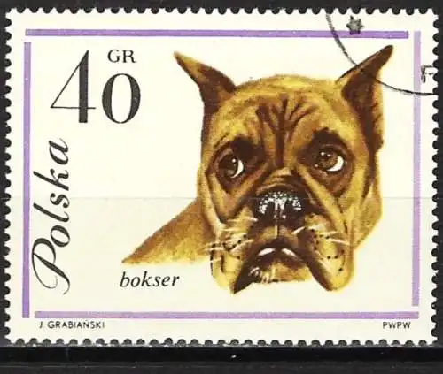 Polen 1963 - Mi 1376 - YT 1234 - Hund : Deutscher Boxer