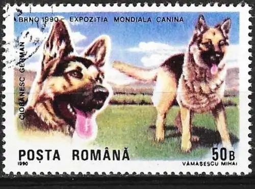 Rümanien 1990 - Mi 4603 - YT 3869 - Deutscher Schäferhund