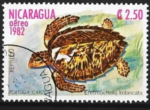 Nicaragua 1982 - Mi 2338 - YT Pa 1008 - Meeresschildkröte ( Flugpost )