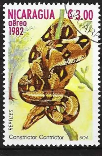 Nicaragua 1982 - Mi 2339 - YT Pa 1009 - Schlange : Python ( Flugpost )