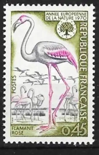 Frankreich 1970 - Mi 1704 - YT 1634 - Vogel : Flamingo - MNH** 