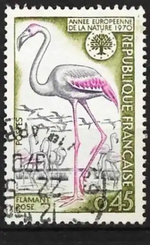 Frankreich 1970 - Mi 1704 - YT 1634 - Vogel : Flamingo 