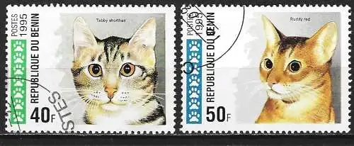 Benin 1999 - Mi 668 / 669 - YT 708AE / 708AF - Katzen