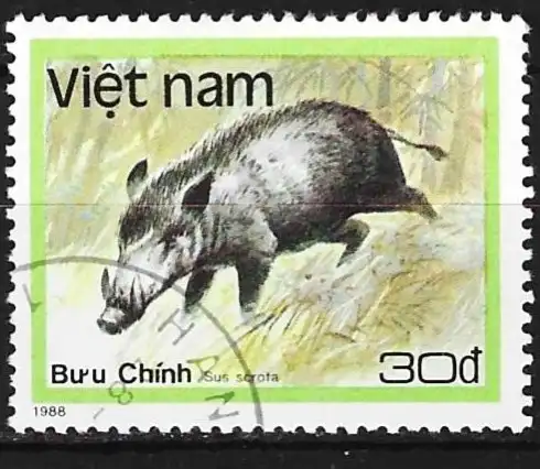 Vietnam 1988 - Mi 1986 - YT 881 - Fauna : Wildschwein