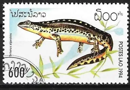 Laos 1994 - Mi 1417 - YT 1137 - Fauna : Triton