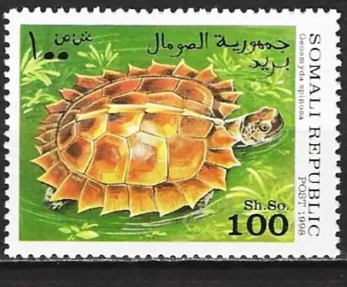 Republik Somalia 1998 - Fauna : Schildkröte  - MNH**