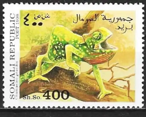 Republik Somalia 1998 - Fauna : Chamäleon  - MNH**