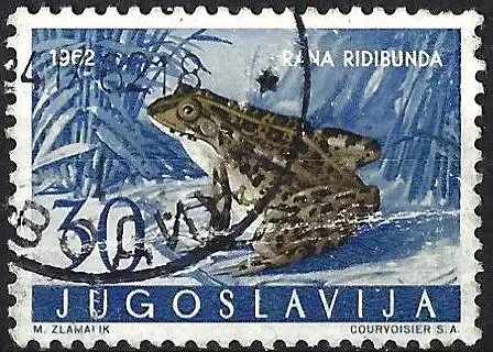 Jugoslawien 1962 - Mi 1010 - YT 908 - Frosch