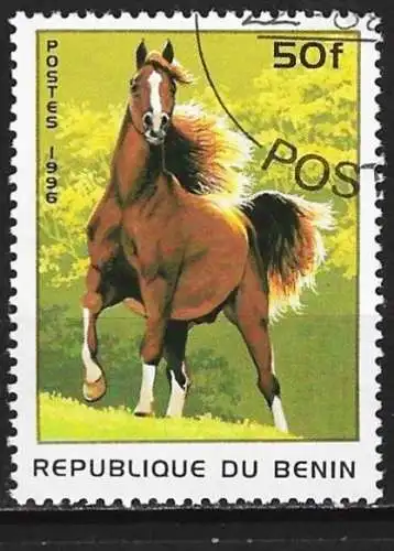 Benin 1996 - Mi 831 - YT 710 BNZ - Pferd