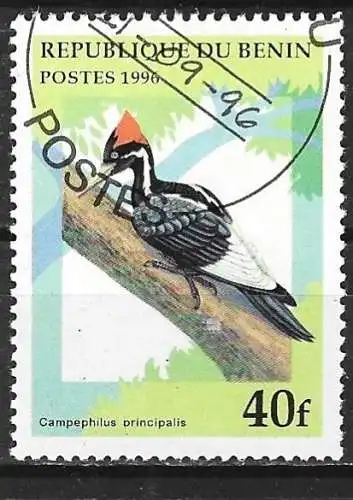 Benin 1996 - Mi 842 - YT 710 CL - Vogel