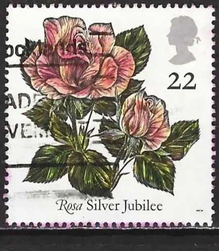 Großbritannien 1991 - Mi 1345 - YT 1551 - Blumen : Rosen