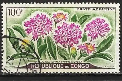 Kongo (Braz) 1961 - Mi 9 - YT Pa 2 - Blumen  ( Flugpost )