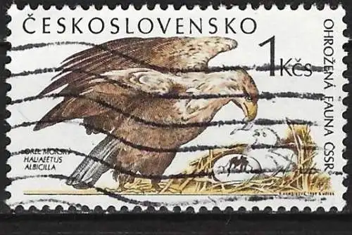 Tschechoslowakei 1989 - Mi 3006 - YT 2807 - Vogel : Seeadler