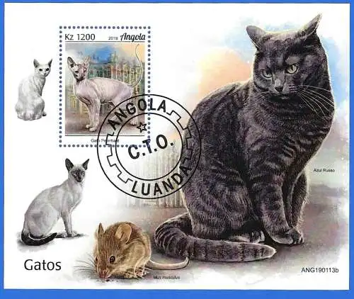 Angola 2019 - Mi BL 188 - YT BF 190 - Fauna : Die Katzen ( Block 120 x 100 )