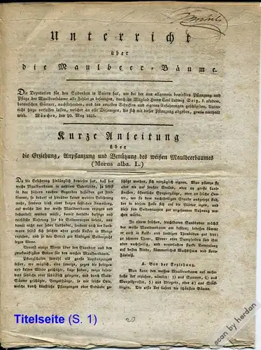 Rarität 1825: Anleitung zur Pflanzung und Pflege von Maulbeerbäumen für die Seidenproduktion in Bayern aus dem Jahre 1825.