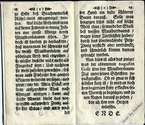 Rarität 1754: Lehrbüchlein zur Pflanzung und Pflege von Maulbeerbäumen für die Seidenproduktion in Bayern aus dem Jahre 1754.
------------------------------------------------------------------------------------------------------------------------...