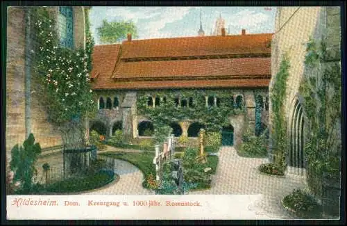 AK Litho Hildesheim Dom-Kreuzgang und 1000-jähriger Rosenstock 1899
