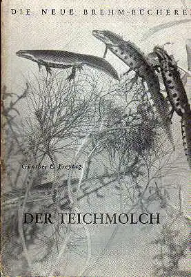 Günther E. Freytag: Der Teichmolch Die neue Brehm-Bücherei Heft 117.