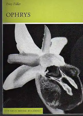 Fritz Füller: Ophrys ( Die Orchideen Deutschlands 2. Teil ) Ein Querschnitt durch das Leben unserer heimischen Ragwurzelarten.