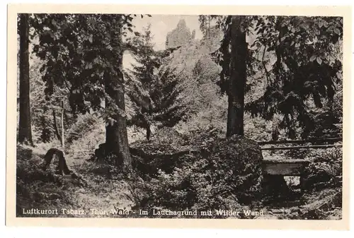 [Ansichtskarte] Luftkurort Tabarz, Thür. Wald - Im Lauchagrund mit Wilder Wand, ungelaufen - siehe Scan. 