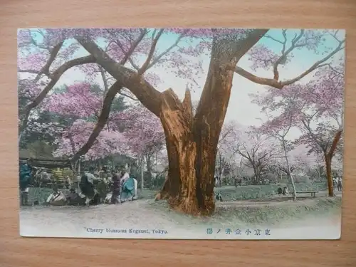 [Lithographie] Deutsche Post China Shanghai 1912 nach Tsingtau Kirschblüte Tokyo Keganei 山東膠州青島. 