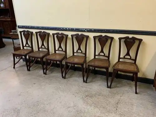 6 antike Nußbaum Jugendstil Stühle, Art Nouveau  - Lieferung möglich!