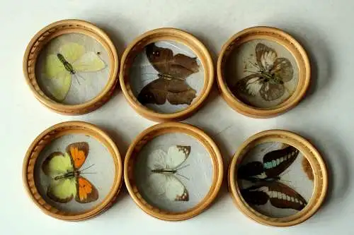 6 Untersetzer Bambus Holz Glas mit schönen Schmetterlingsmotiven im Ständer, Vintage aus den 70ern