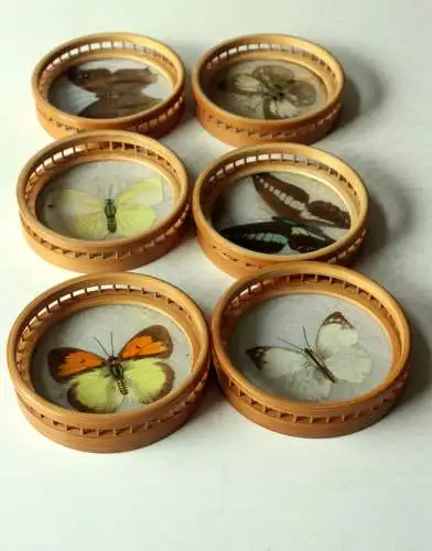 6 Untersetzer Bambus Holz Glas mit schönen Schmetterlingsmotiven im Ständer, Vintage aus den 70ern