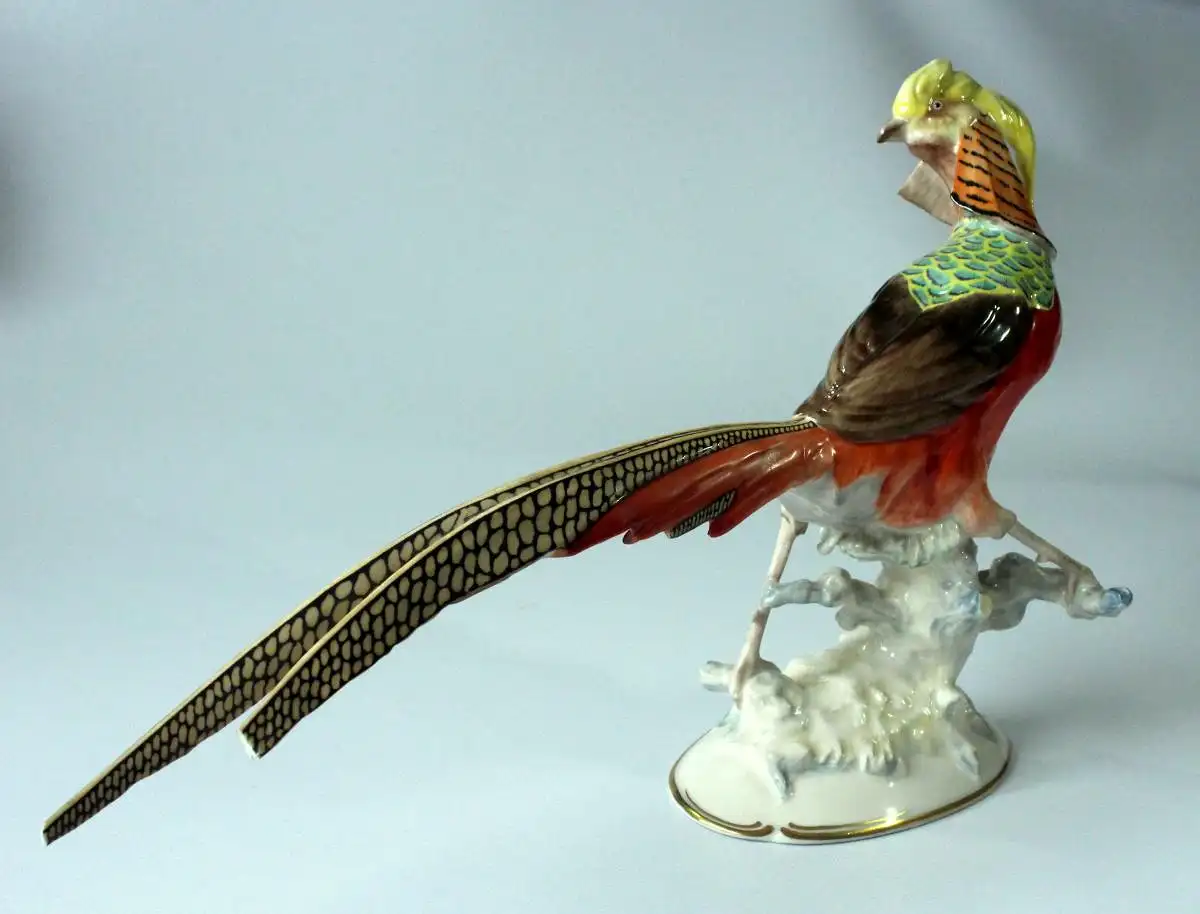 Hutschenreuther-Selb Kunstabteilung - seltene Porzellanfigur Chinesischer Fasan -  K. Tutter - Vintage 4