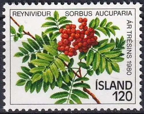 ISLAND 1980 Mi-Nr. 554 ** MNH