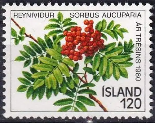 ISLAND 1980 Mi-Nr. 554 ** MNH