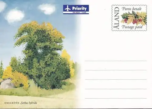 ALAND 2004 Postkarte Ganzsache Postkort ungelaufen