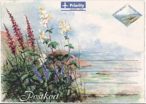 ALAND 2000 Postkarte Ganzsache Postkort ungelaufen