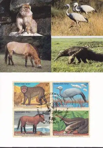 UNO WIEN 1997 Mi-Nr. 222/25 MK/MC Maximumkarte Nr. 49