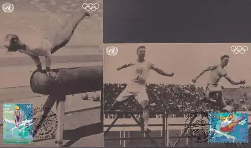 UNO WIEN 1996 Mi-Nr. 214/15 MK/MC Maximumkarte Nr. 45-46