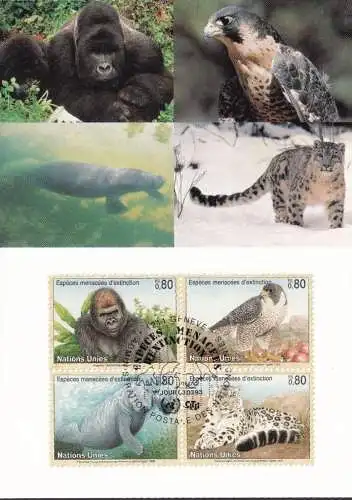 UNO GENF 1993 Mi-Nr. 227/30 MK/MC Maximumkarte Nr. 17