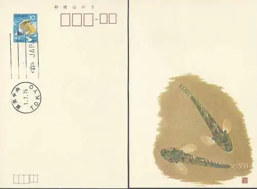 JAPAN 1975 Ganzsache Postkarte Sommergrusskarte  mit EST