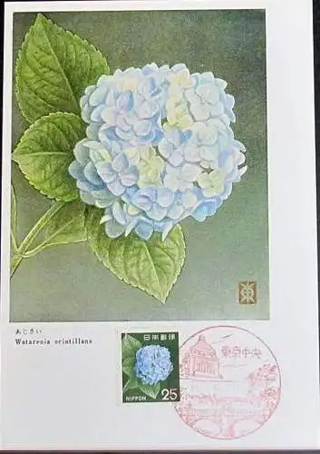 JAPAN 1966 Mi-Nr. 933 Maximumkarte MK/MC No. 41