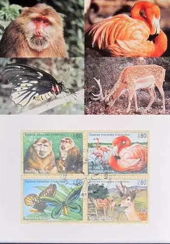 UNO GENF 1998 Mi-Nr. 330/33 Maximumkarte MK/MC