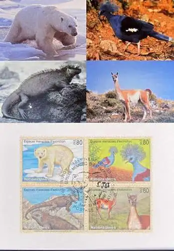 UNO GENF 1997 Mi-Nr. 305/08 Maximumkarte MK/MC